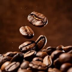 Café en grain fraîchement torréfié